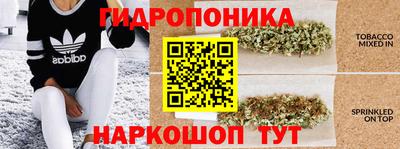 винт Будённовск